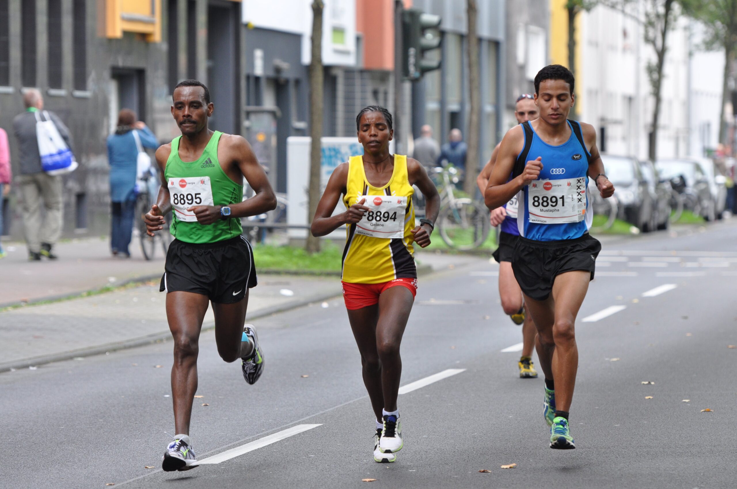 Four German Half Marathons for Beginners in 2017